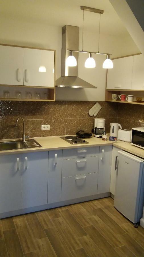 Enjoy Apartment Timisoara Esterno foto
