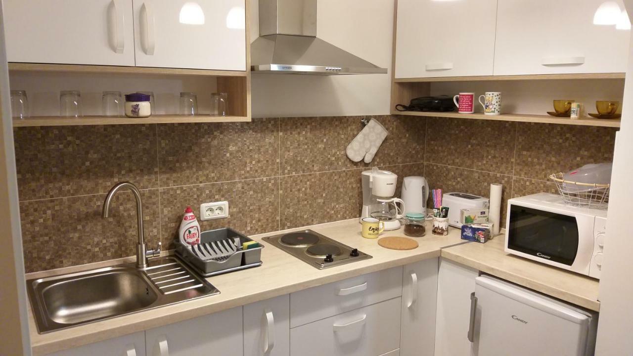 Enjoy Apartment Timisoara Esterno foto