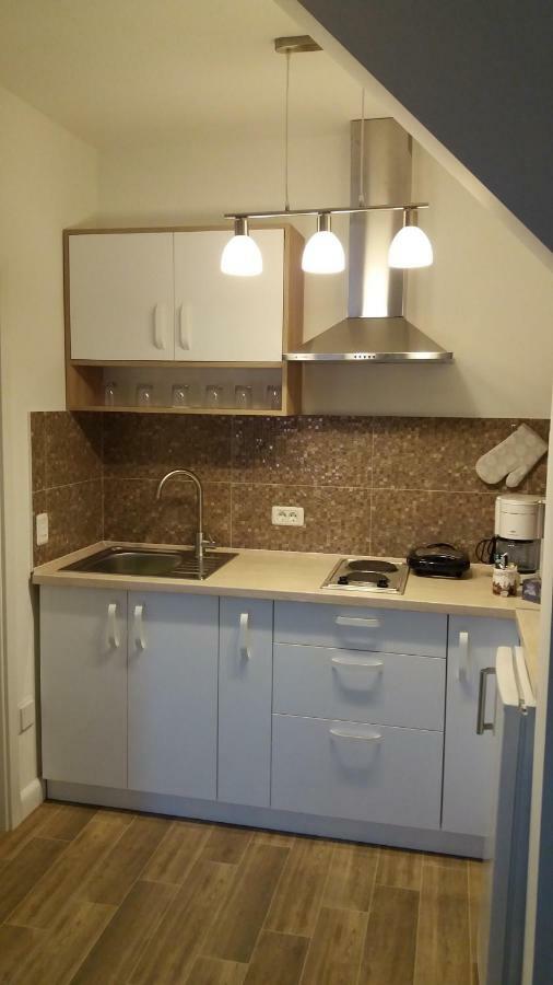 Enjoy Apartment Timisoara Esterno foto