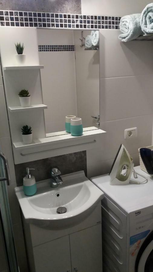 Enjoy Apartment Timisoara Esterno foto