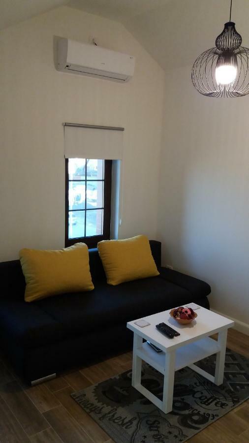 Enjoy Apartment Timisoara Esterno foto